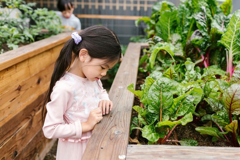 Flourish-ELC-sustainability