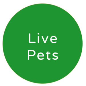 live-pets